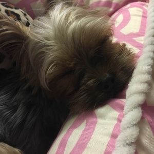 Meet your Posher, Araceli